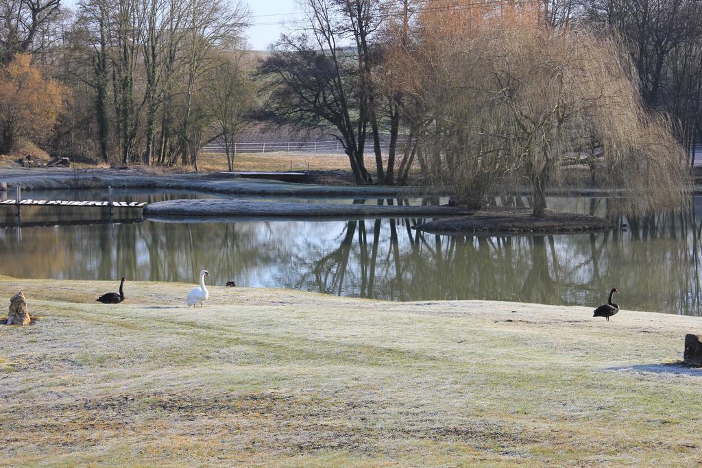 Domaine Du Moulin De L'Etang Bed & Breakfast Chatillon-sur-Marne Ngoại thất bức ảnh