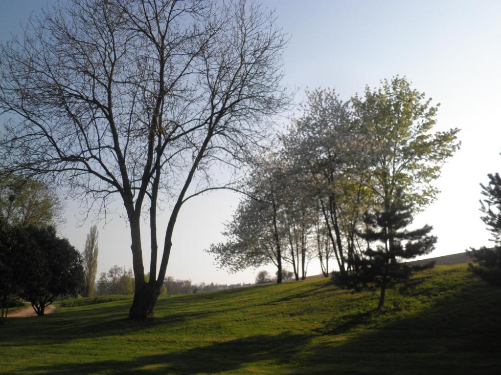 Domaine Du Moulin De L'Etang Bed & Breakfast Chatillon-sur-Marne Phòng bức ảnh