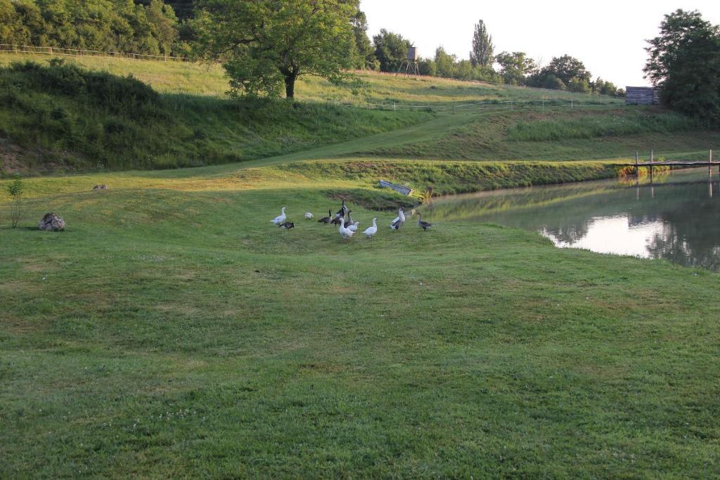 Domaine Du Moulin De L'Etang Bed & Breakfast Chatillon-sur-Marne Ngoại thất bức ảnh
