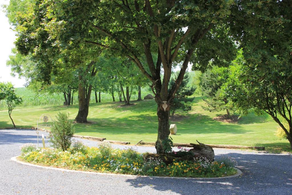 Domaine Du Moulin De L'Etang Bed & Breakfast Chatillon-sur-Marne Ngoại thất bức ảnh
