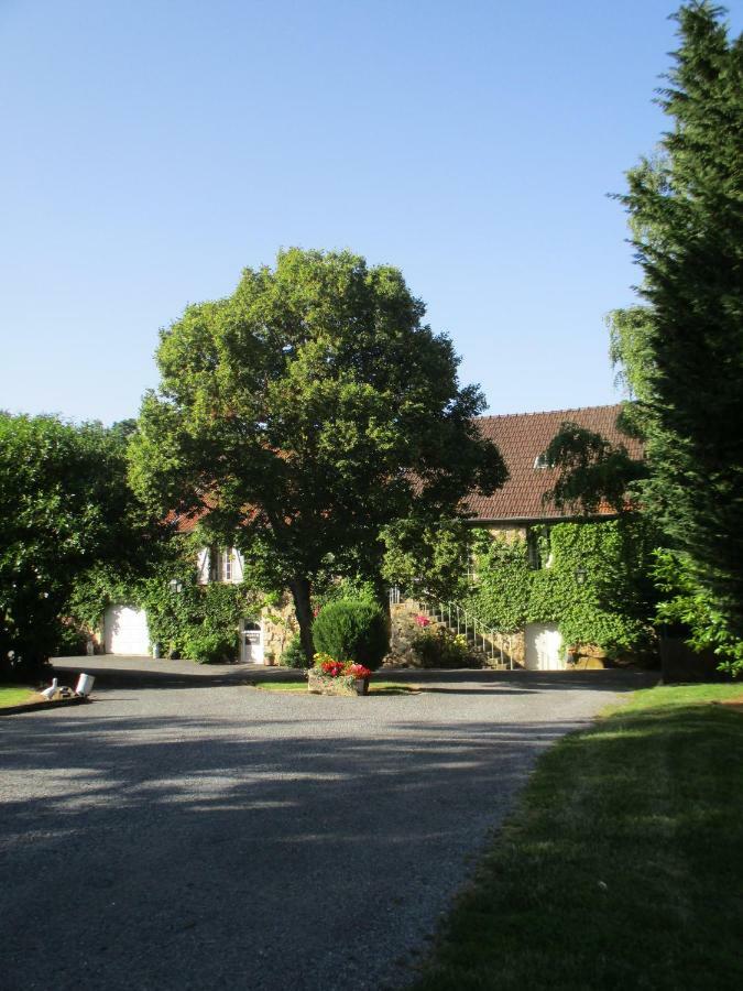 Domaine Du Moulin De L'Etang Bed & Breakfast Chatillon-sur-Marne Ngoại thất bức ảnh